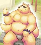  2011 anthro belly canid canine clothing fox fundoshi gingitsune gintaro humanoid_hands japanese_clothing lako male mammal moobs navel nipples outside overweight overweight_male sitting solo underwear 