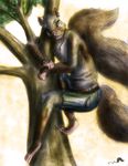  clothed clothing ear_piercing fur jewelry male mammal necklace piercing rodent shorts solo squirrel topless tree whimsicalsquirrel 