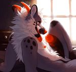 anthro bedroom canine eracin erection grin male mammal nude penis smile solo tongue tongue_out 