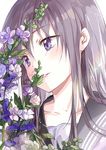  bangs blush collarbone eyebrows_visible_through_hair flower grey_hair grey_sailor_collar head_tilt leaf lips long_hair original parted_lips purple_eyes purple_flower sailor_collar saya_(mychristian2) shiny shiny_hair simple_background smile solo white_background white_flower 