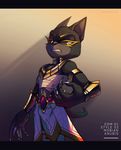  anthro anubis canine clothed clothing deity egyptian einnharder jackal mammal solo sonic_(series) 