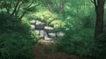  commentary_request day forest nature no_humans original outdoors river scenery stone tree wasabi60 water waterfall 
