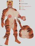  anthro big_breasts blonde_hair breasts butt feline female hair looking_at_viewer mammal model_sheet muscular muscular_female nipples pussy roly solo standing tiger 