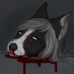  black_nose blood blood_from_nose blood_on_face blue_eyes canine dead_eyes death decapitation deermary digital_media_(artwork) dog ear_tuft female fur gore grey_hair hair inner_ear_fluff low_res mammal nosebleed olivia severed_head solo tongue tongue_out tuft 