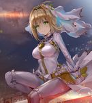  fate/extra fate/extra_ccc fate/grand_order fate/stay_night saber_bride saber_extra tagme 