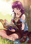  against_tree barefoot blush book boots boots_removed commentary dress fire_emblem fire_emblem:_seima_no_kouseki grass grin highres holding holding_book indian_style leaning_back long_hair looking_at_viewer lute_(fire_emblem) open_book ormille purple_eyes purple_hair sitting smile solo stalk_in_mouth tree tree_shade twitter_username 