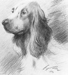  1923 adolf_hitler_(artist) ambiguous_gender canine dog feral greyscale looking_at_viewer low_res mammal monochrome pencil_(artwork) public_domain realistic shaded signature traditional_media_(artwork) 