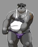  bear bikini_briefs bulge clothing daigo_kumano male mammal purple_underwear shiba-kenta shirt solo tank_top touching_penis white_shirt 