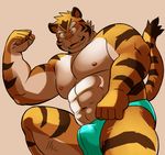  anthro big_muscles briefs bulge clothed clothing feline kotetsu_oshima male mammal muscular muscular_male nipples shiba-kenta solo tiger topless underwear 