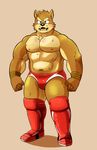  anthro big_muscles blush boots bulge canine clothing dog footwear kenta_shiba_(character) male mammal muscular muscular_male navel nipples shiba-kenta shiba_inu solo wrestling_briefs 