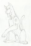  catwolf scooby scooby-doo tagme 