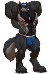  2018 abs anthro armpit_hair balls beard biceps big_muscles black_fur black_hair body_hair bulge canine chest_hair clothing digital_media_(artwork) facial_hair fur grey_fur grisser hair hat humanoid jockstrap looking_at_viewer male mammal muscular muscular_male nipples nude paws pecs pubes simple_background smile solo standing underwear whistle white_background wolf 