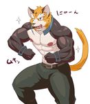  2018 abs anthro belt biceps canine clothing feline fur hi_res kemono male mammal muscular muscular_male nipples pants pecs rossi_thukigata simple_background 