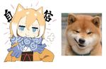  =3 animal animal_ears blonde_hair blue_eyes chinese dog dog_ears hair_between_eyes jong_tu looking_at_viewer multicolored_hair original photo-referenced reference_photo reference_photo_inset scarf shiba_inu short_hair simple_background smirk smug solo translation_request two-tone_hair upper_body white_background white_hair 