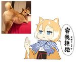  animal animal_ears blonde_hair blue_eyes chinese dog dog_ears hair_between_eyes jong_tu lowres multicolored_hair original partially_translated photo_inset scarf shiba_inu short_hair simple_background solo translation_request two-tone_hair upper_body white_background white_hair 