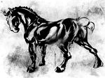  equine feral generalbarcode horse mammal 