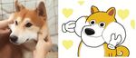  &lt;3 ambiguous_gender animated canine clothing curled_tail disembodied_hand dog feral fur gloves human keke mammal pinch real shiba_inu smile tan_fur toony 