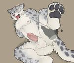  &lt;3 ambiguous_gender anthro balls blue_sclera blush cute_fangs disembodied_hand erection feline hands_behind_back huka leopard male male/ambiguous mammal nipples open_mouth pawpads precum raised_leg snow_leopard solo whiskers 