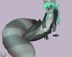  anthro breasts canine female looking_at_viewer mammal miiyori nipples nude pussy small_breasts smile solo wide_hips 