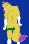  anthro anus butt canine clothing flat_(disambiguation) fox hole_(disambiguation) kitshokit male mammal showing smile solo tyco underwear ych 