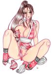  1girl breasts fatal_fury huge_breasts kyo ponytail shiranui_mai sitting solo 