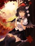  autumn autumn_leaves black_hair black_legwear black_neckwear black_ribbon black_skirt black_wings breasts camera commentary_request eyebrows_visible_through_hair feathered_wings feet_out_of_frame forest frills hair_between_eyes hat highres holding holding_camera looking_at_viewer medium_breasts miniskirt nature neck_ribbon open_mouth outdoors petticoat pom_pom_(clothes) puffy_short_sleeves puffy_sleeves red_eyes ribbon rin_falcon shameimaru_aya shirt short_hair short_sleeves sitting skirt smile solo sun tassel thighhighs tokin_hat touhou white_shirt wings zettai_ryouiki 