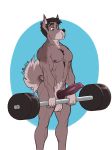 2018 abs alpha_channel animal_genitalia animal_penis anthro balls biceps big_penis body_hair brown_eyes brown_hair canine canine_penis castbound chest_hair dog erection exercise fur hair knot male mammal multicolored_fur nipples nude pecs penis simple_background solo standing transparent_background two_tone_fur weightlifting workout 
