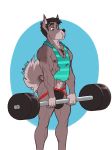  2018 alpha_channel anthro biceps body_hair brown_eyes brown_hair bulge canine castbound chest_hair clothing dog exercise fur hair jockstrap male mammal multicolored_fur nipples pecs shirt simple_background solo standing tank_top torn_clothing transparent_background two_tone_fur underwear weightlifting workout 