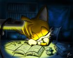  anthro black_nose book bookshelf canine clothing crumpled cute drawings eraser eyes_closed fox fur gloves head_on_hand lamp male mammal miles_prower night paper pencil_(object) puretails sitting sleeping solo sonic_(series) tools video_games white_fur wrench yellow_fur 