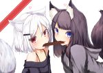  absurdres animal_ears bangs bare_shoulders black_hair blue_eyes blush chocolate chocolate_bar eyebrows_visible_through_hair fang food_in_mouth fox_ears fox_tail hair_ornament hairclip heart highres hood hood_down hoodie long_hair looking_at_viewer mayogii mouth_hold multiple_girls off_shoulder original red_eyes shared_food short_hair signature smile tail upper_body valentine white_background white_hair 