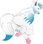  2018 absurd_res alexaurus alpha_channel anthro big_butt big_tail butt canine cuntboy digital_media_(artwork) dog frozen_the_husky fur girly hair hi_res huge_butt husky ice_blue intersex invalid_color invalid_tag looking_at_viewer looking_back mammal nude open_mouth paws pussy rear_view simple_background stripes transparent_background wide_hips 