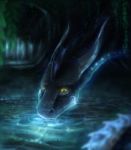  detailed_background digital_media_(artwork) dragon feral horn hydlunn solo spines water 
