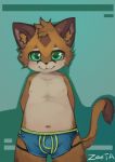  anthro boxer_briefs brown_fur bulge cat clothed clothing cub feline fur green_eyes hi_res looking_at_viewer male mammal navel nipples signature slightly_chubby solo topless underwear young zeetar 