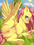  2018 absurd_res anatomically_correct anatomically_correct_pussy animal_genitalia animal_pussy anus blush clitoris digital_media_(artwork) dock equine equine_pussy feathered_wings feathers female feral fluttershy_(mlp) friendship_is_magic fur grass hair happy hi_res hooves kuroran long_hair looking_at_viewer mammal my_little_pony naughty_face outside pegasus presenting presenting_pussy pussy pussy_juice smile solo sun tree underhoof wings 