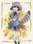  absurdres animal_ears black_gloves blush brown_eyes common_raccoon_(kemono_friends) extra_ears feathers flower fur_collar gloves grey_hair highres kemono_friends looking_at_viewer multicolored_hair pantyhose pleated_skirt raccoon_ears raccoon_tail shiba_(siva_ryo) skirt smile solo tail white_legwear 