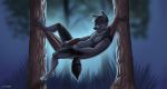  anthro balls canine fur grey_fur hammock looking_at_viewer male mammal masturbation o-ruff penis relaxing smile solo spreading tree wolf 