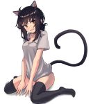  :d ahoge amekaze_yukinatsu animal_ears artist_name bangs between_legs black_hair black_legwear blush brown_eyes cat_ears cat_girl cat_tail collarbone commentary fang full_body grey_shirt hand_between_legs highres looking_at_viewer no_pants open_mouth original panties pink_panties revision shirt short_sleeves sidelocks signature simple_background sitting smile solo tail thighhighs underwear wariza white_background 