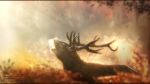  antlers brown_fur cervine day deer detailed_background digital_media_(artwork) feral fur horn hydlunn male mammal open_mouth outside solo standing 