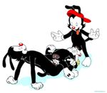  animaniacs dot_warner stefanescu wakko_warner yakko_warner 