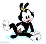  animaniacs dot_warner stefanescu tagme 