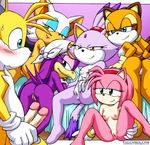  amy_rose blaze_the_cat marine_the_raccoon palcomix rouge_the_bat sonic_riders sonic_team tails wave_the_swallow 