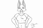  animated anthro big_breasts bouncing bouncing_breasts breasts canine clothed clothing clothing_lift digital_drawing_(artwork) digital_media_(artwork) female flashing fox fur looking_at_viewer mammal nipples nude rollfox shirt shirt_lift smile 