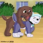  2018 canine dog everest_(paw_patrol) feral husky kerocat labrador mammal paw_patrol zuma_(paw_patrol) 