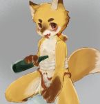  4_fingers alcohol anthro aritamato balls bandage beverage blush canine child cub drunk erection foreskin fox humanoid_penis mammal nipples open_mouth partially_retracted_foreskin penis uncut young 