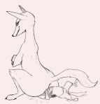  anthro anus avo_(weaver) big_butt butt canine duo erection ermine facesitting female grin jackal larger_female male mammal marty_(weaver) mustelid nobby_(artist) nude pack_street size_difference smaller_male smile 