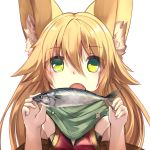  animal_ears bangs blonde_hair commentary_request eyebrows_visible_through_hair fingernails fish fox_ears green_eyes green_scarf haik hair_between_eyes hands_up holding kokonoe_tsubaki long_hair looking_at_viewer open_mouth original scarf simple_background solo upper_body white_background 