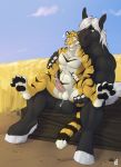  2015 4_toes abdominal_bulge absurd_res anal anal_penetration anthro anthro_on_anthro balls balls_deep barbed_penis biceps big_balls big_muscles big_penis black_fur black_pawpads blue_eyes blue_sky chair_position countershading cum cum_leaking cum_on_balls day deep_penetration digital_media_(artwork) dipstick_tail duo equine erection feline fingerless_(marking) from_behind_position fur grey_hair hair hi_res hooves horse interspecies legs_up male male/male male_penetrating mammal multicolored_fur multicolored_tail muscular on_top orange_fur outside pawpads paws pecs penetration penis pink_nose precum ringed_tail sex silver_hair sitting sky smile solaxe_(artist) spread_legs spreading striped_fur stripes surprise teeth tiger toes ulbrek white_countershading white_fur white_hair 