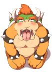  acme bowser invalid_tag male mario_bros nintendo supermario video_games 