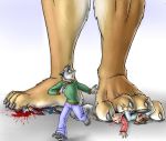  4_toes blood crush death feet gore stomping toes under_foot 