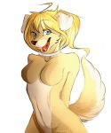  alpha_channel anthro breasts canine featureless_breasts female hands_behind_back looking_at_viewer mammal nude open_mouth simple_background solo transparent_background trinanya wide_hips 